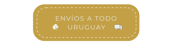 ENVIOS_6.png