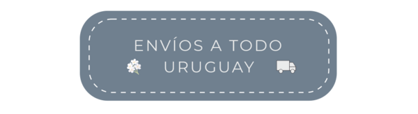 ENVIOS_12.png