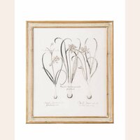 CUADRO - SERIE NATURA 1 - 60 X 70 CMS