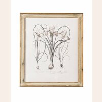 CUADRO - SERIE NATURA 2 - 60 X 70 CMS