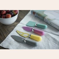 JUEGO 4 CUCHILLOS DE QUESO TAYLORS - NEON