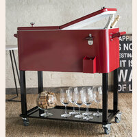 Hieleras y champagneras