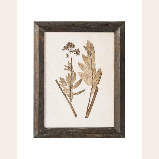 CUADRO - SERIE BOTANICS OSCURO 1 - 55 X 70 CMS
