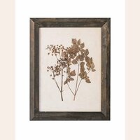 CUADRO - SERIE BOTANICS OSCURO 3 - 55 X 70 CMS