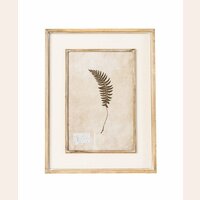 CUADRO SERIE HOJAS 1 - 50 X 65 CMS