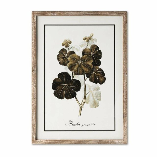 CUADRO BOTANICALS 2 - 54 X 40 CMS