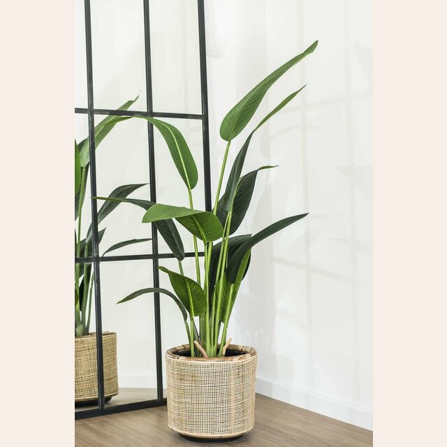 PALMA ARTIFICIAL - ALTURA 1.40 MTS