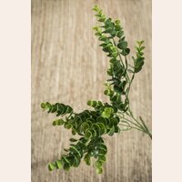 BUXUS ARTIFICIAL