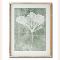 CUADRO INDRA 1 - ACQUA – 70 X 55 CMS