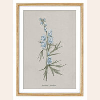 CUADRO SERIE FLORES 2 - 44 X 32 CMS