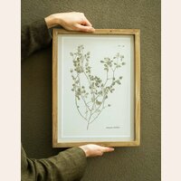 CUADRO HOJITAS SECAS 1 – 40 X 30 CMS