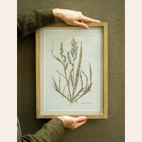 CUADRO HOJITAS SECAS 2 - 40 X 30 CMS
