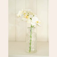 ORQUIDEA EN FRASCO