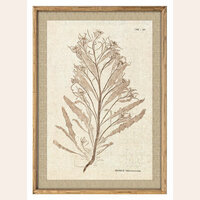 CUADRO BOSQUE 1 -  70 X 50 CMS