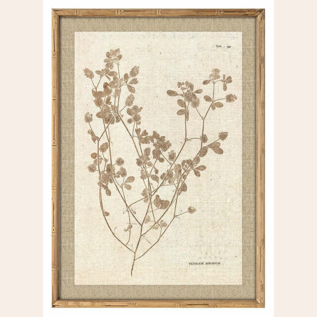 CUADRO BOSQUE 2 - 70 X 50 CMS