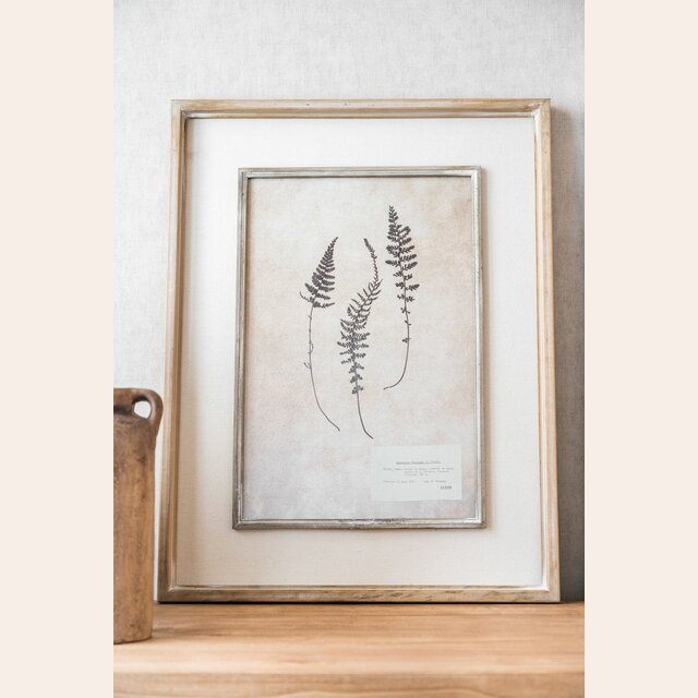 CUADRO SERIE HOJAS 3 - 50 X 65 CMS