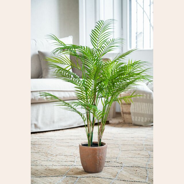 PLANTA EN MACETA TERRACOTA - 90 CMS