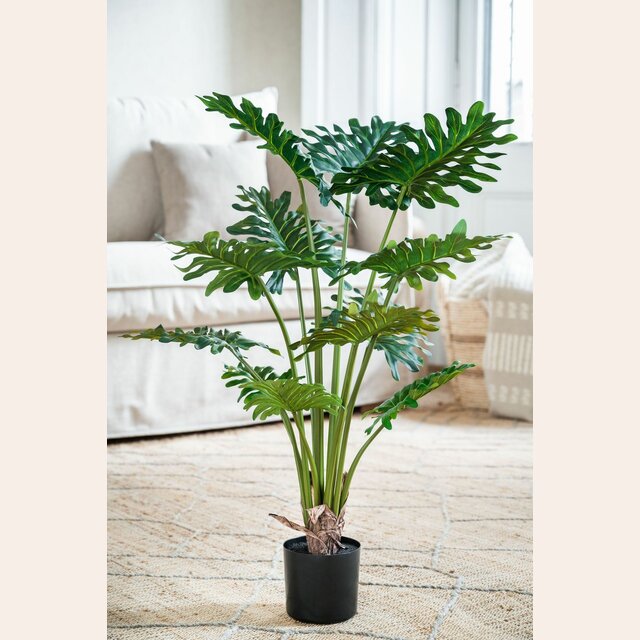 PLANTA EN MACETA - 70 CMS