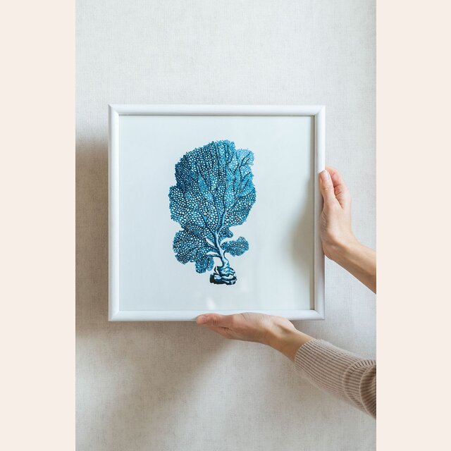 CUADRO CORAL AZUL 2 - 32 X 32 CMS
