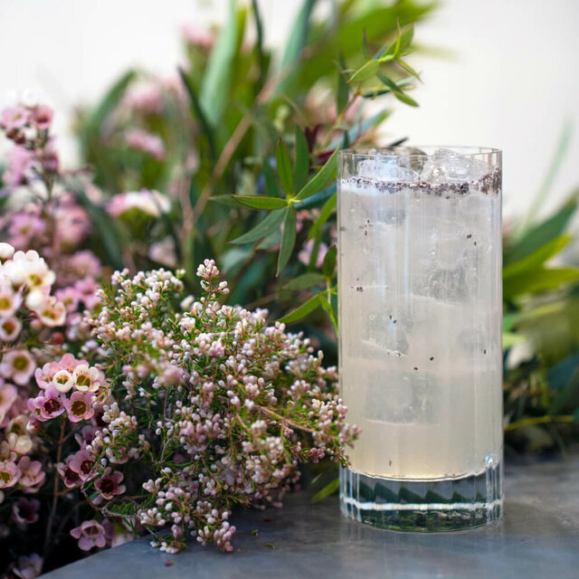 VASO DE CRISTAL BORMIOLI BACH - ALTO - 480 CC 