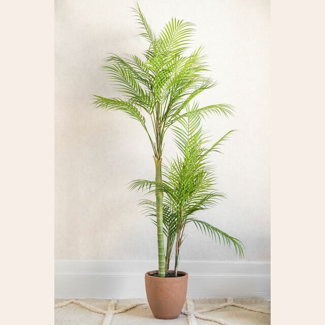 PALMERA EN MACETA BARRO