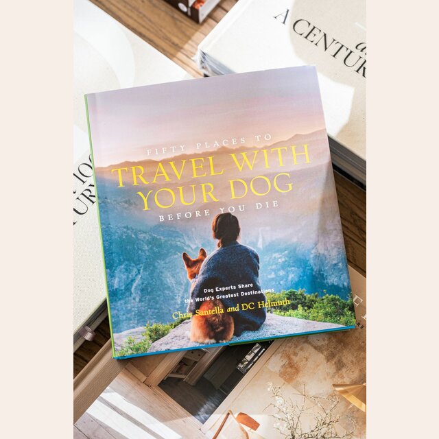 LIBRO DECO - FIFTY PLACES TO TRAVEL WITH YOUR DO
